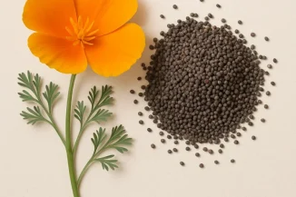California-Poppy-Seed-768x768